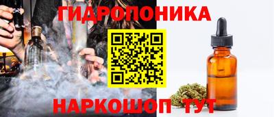 молекула духа Пугачёв