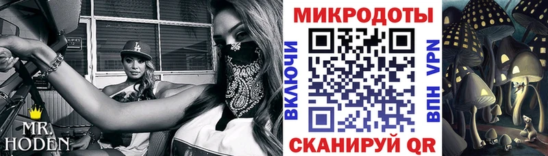 Галлюциногенные грибы GOLDEN TEACHER  как найти наркотики  omg ссылка  Москва 